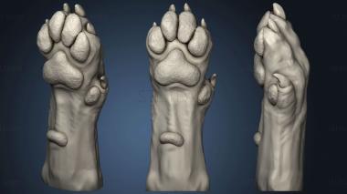 3D model Dog Paw 75 (STL)