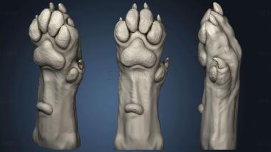 3D model Dog Paw 159 (STL)