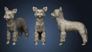 3D model Dog Yorkshire Brit II (STL)