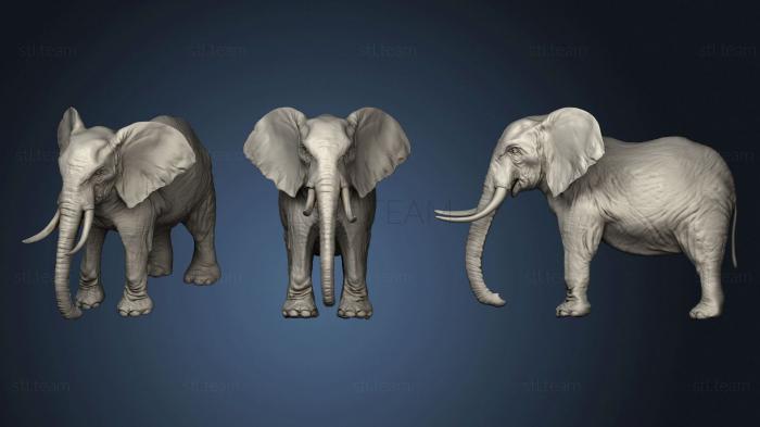 3D model Elephant and War Horse (STL)