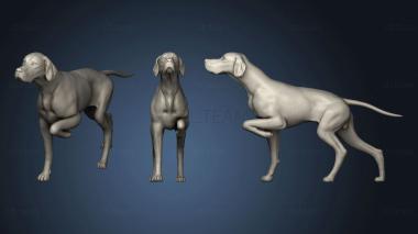 3D model engpointer hunt (STL)