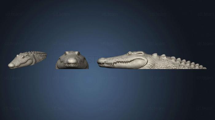 3D модель Гноящийся Болотный Крокодил (STL)