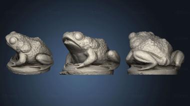 3D model Fountain Toad (STL)