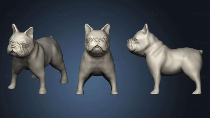 3D model French Bulldog (STL)