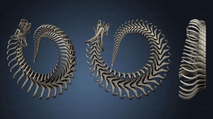 3D model Gaboon Viper Skeleton Articulated (STL)