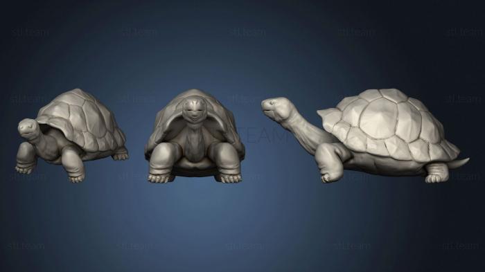 Статуэтки животных Giant Tortoise 2