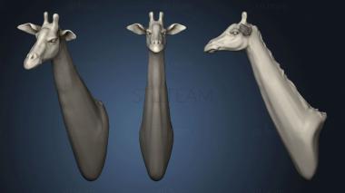 3D model Giraffe 96 (STL)