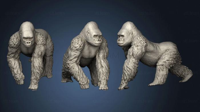 Статуэтки животных Gorilla (2)
