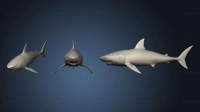 3D model Great White Shark Game Ready (STL)