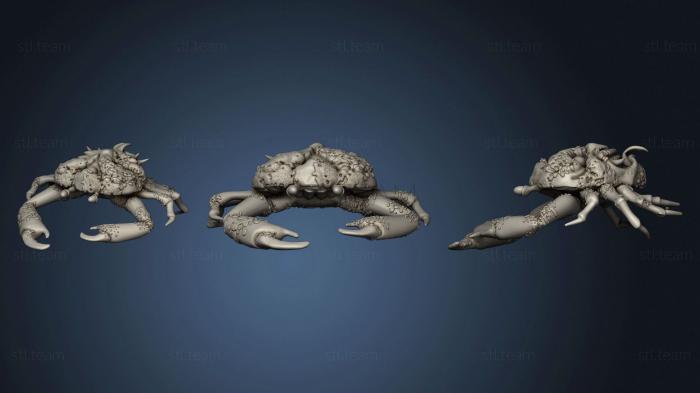 3D model Heikegani Demon Crab 2 (STL)