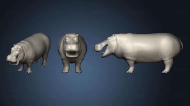 3D model Hippopotamus Game Ready (STL)