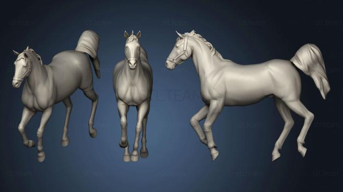 Статуэтки животных Horse