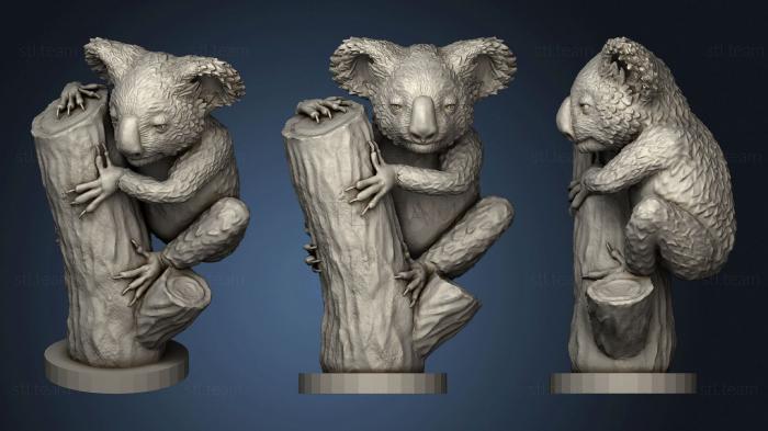 3D model Koala 01 Animal (STL)