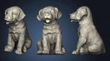 3D model Labrador Puppy (STL)