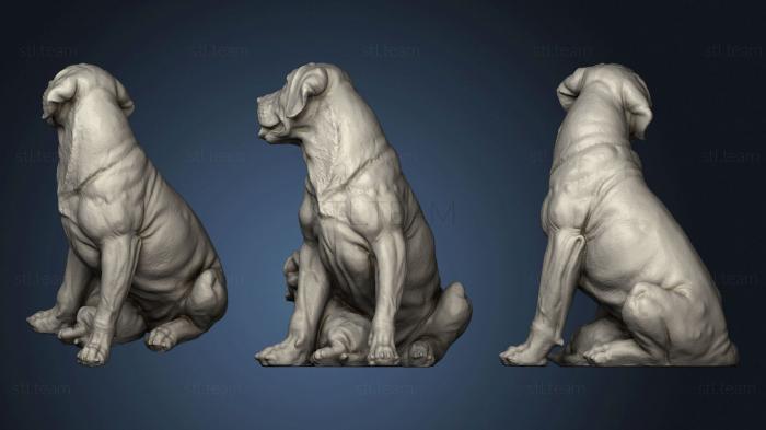 3D model Labrador with Puppy (STL)