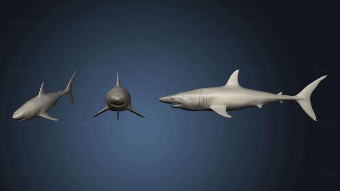 3D model Mako Shark (STL)