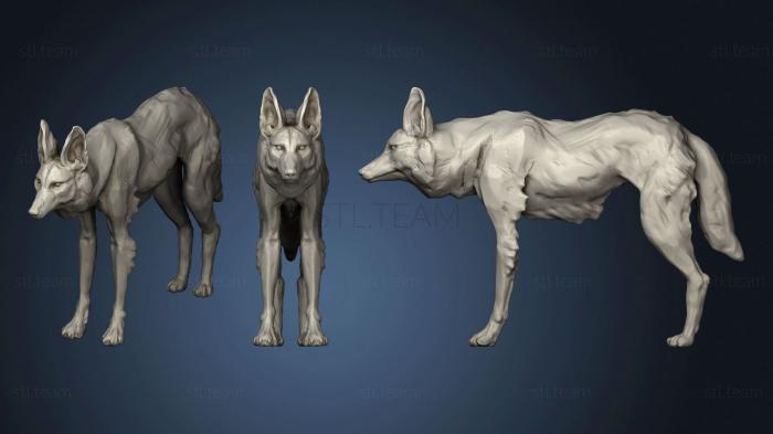 3D модель Гривастый волк 2 2 (STL)