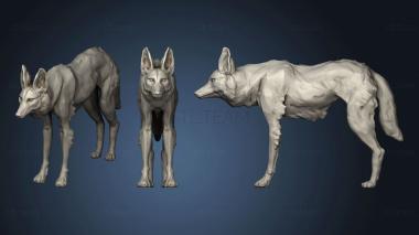3D модель Гривастый Волк 173 (STL)