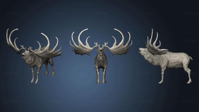 Megaloceros 2