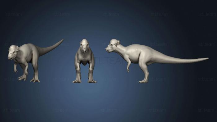 Статуэтки животных Pachycephalosaurus 10