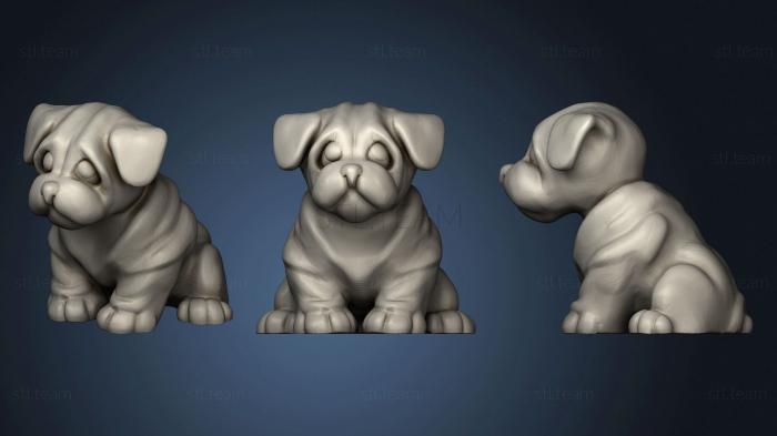 3D model A small wrinkled dog (STL)
