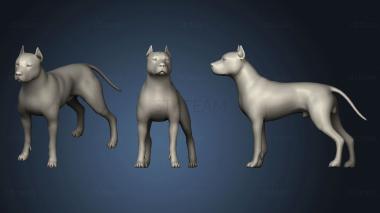 3D model PITBULL 22 (STL)