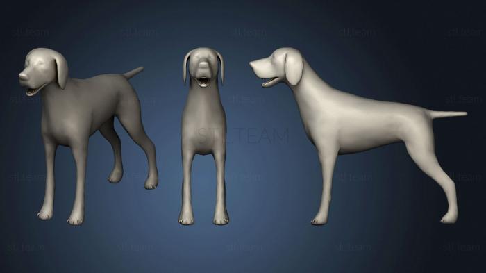3D model Pointer Dog (STL)