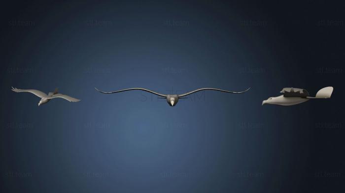 3D model Rc eagle 567 (STL)