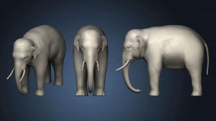 3D model Riged Asian Elephant (STL)