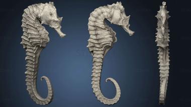 3D model sea horse 2 (STL)