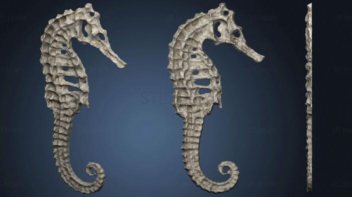 3D model Sea Horse (STL)
