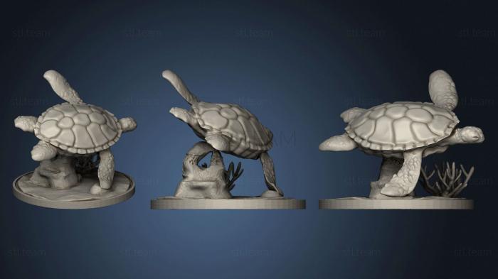 3D model Sea Turtle (STL)