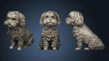 3D model Shih tzu 2 (STL)