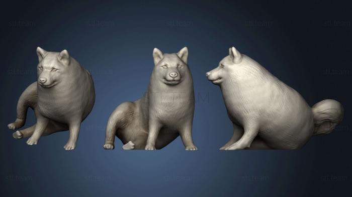 3D model Swole doge (STL)