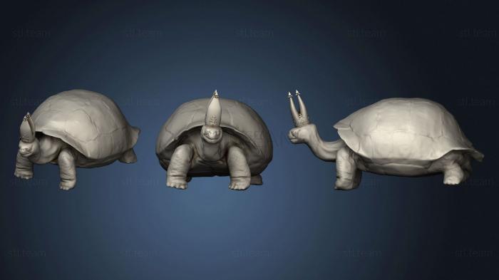 3D model Turtle Pope Elden Ring (STL)