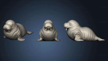 3D model Walrus Morsa (STL)