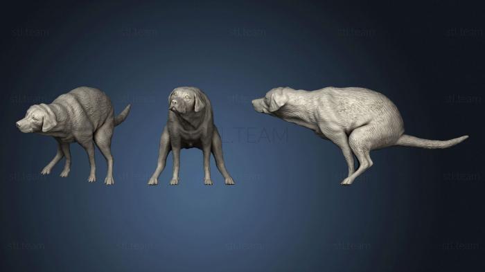 3D model A pooping dog (STL)