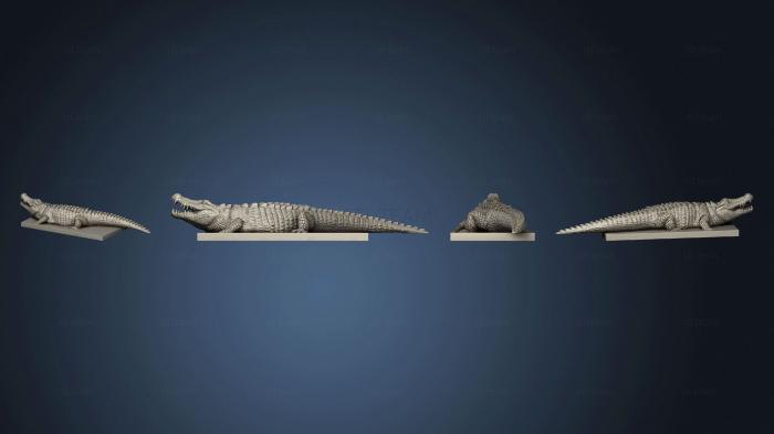 3D модель Крокодил Закончен (STL)
