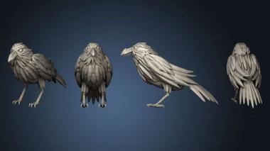 3D model Crow 1 (STL)