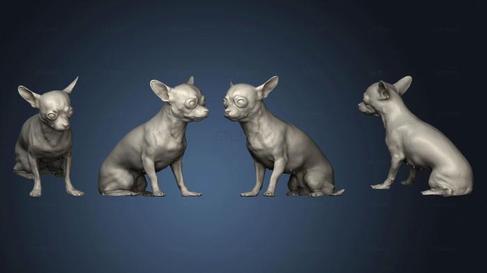 3D модель Собака 02 (STL)
