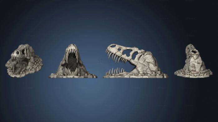 3D model fossil rock (STL)