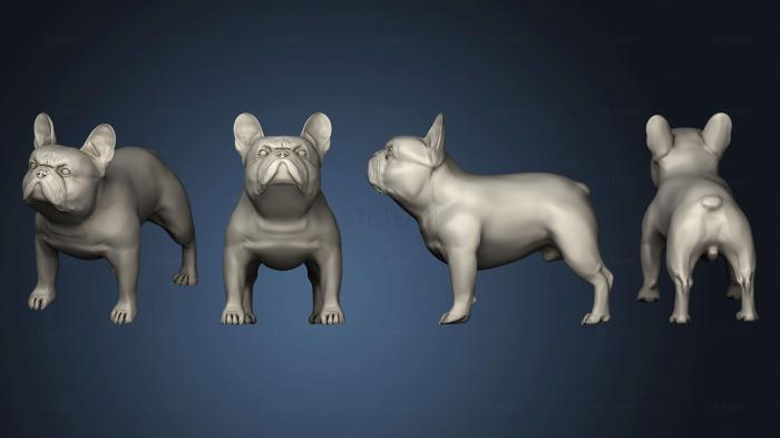 3D model french bulldog (STL)