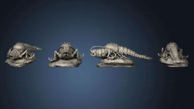 3D model Giant Thermal Shrimp Large v 3 (STL)