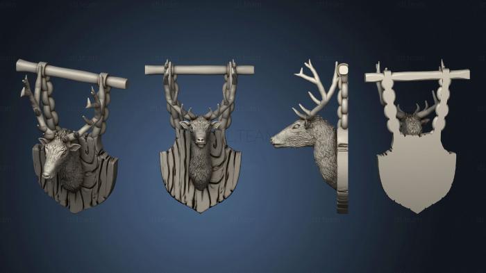 hanging deer