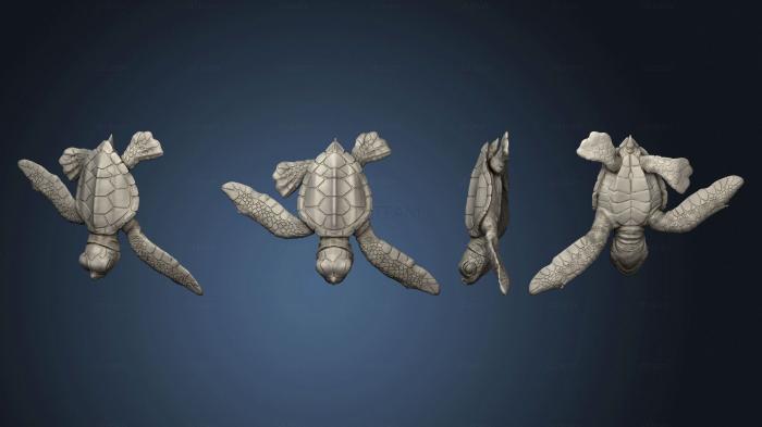 3D model Leatherback Sea Turtle (STL)
