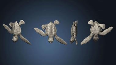 3D модель Кожистая Морская Черепаха (STL)