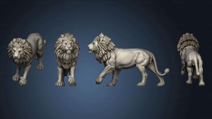 3D model Lion male (STL)