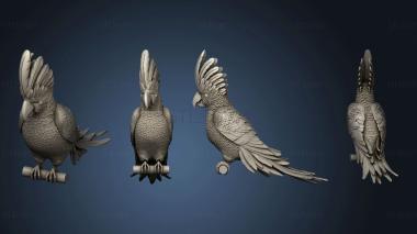 3D model parrot cacadu (STL)