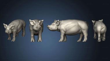 3D model PIG 3 (STL)