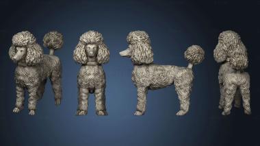 3D model poodle 02 (STL)